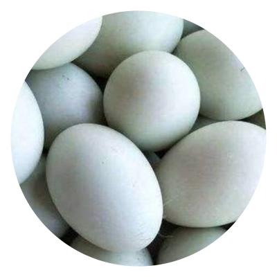 合浦海鸭蛋