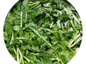 西洋菜沙虫瘦肉汤