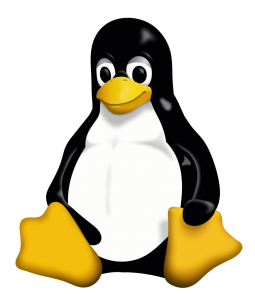 linux调整分区大小