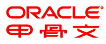 Solaris安装Oracle 11g指导文档